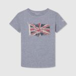 tricou cu steag și logo băiat Pepe Jeans marnă cenușie 6Z0R461635